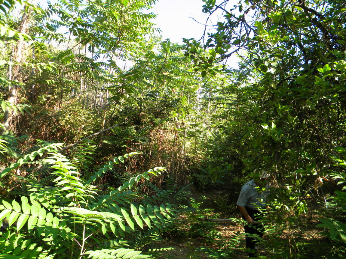 DSCN8105 .JPG